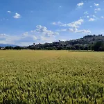 La Casa Tra Gli Ulivi Apartment