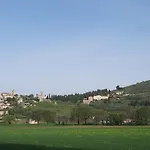 La Casa Tra Gli Ulivi