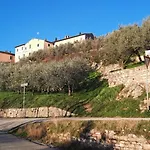 La Casa Tra Gli Ulivi *