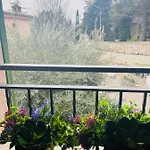 La Casa Tra Gli Ulivi