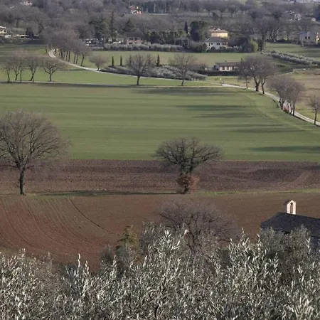 La Casa Tra Gli Ulivi Spello