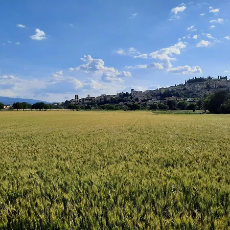 La Casa Tra Gli Ulivi شقة