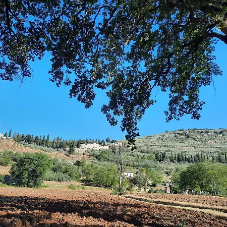 La Casa Tra Gli Ulivi Spello