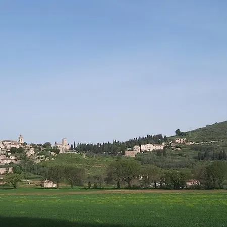 La Casa Tra Gli Ulivi