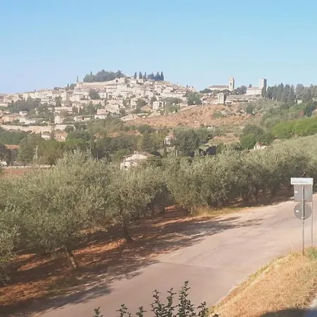 La Casa Tra Gli Ulivi