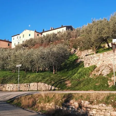 La Casa Tra Gli Ulivi *