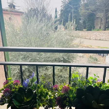 La Casa Tra Gli Ulivi