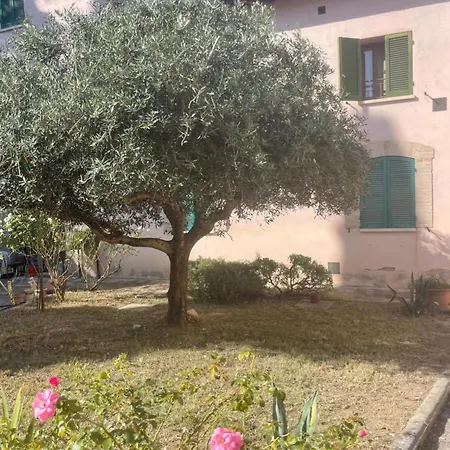 아파트 La Casa Tra Gli Ulivi