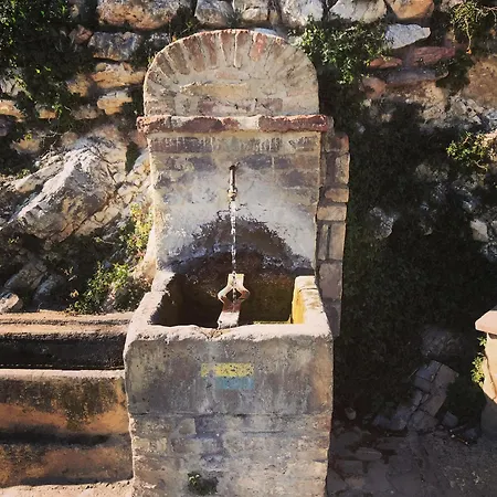 La Casa Tra Gli Ulivi 아파트 스펠로