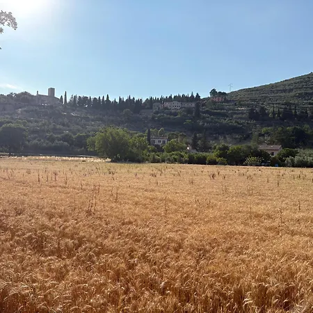 La Casa Tra Gli Ulivi شقة