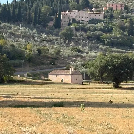 La Casa Tra Gli Ulivi Apartman