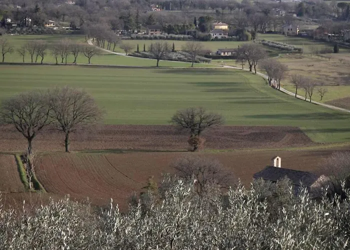 La Casa Tra Gli Ulivi Spello