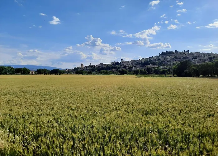 La Casa Tra Gli Ulivi Apartament