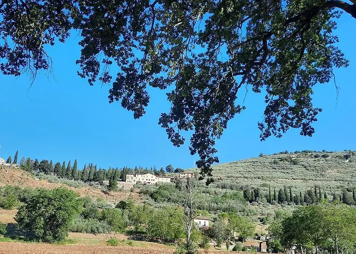 La Casa Tra Gli Ulivi Spello