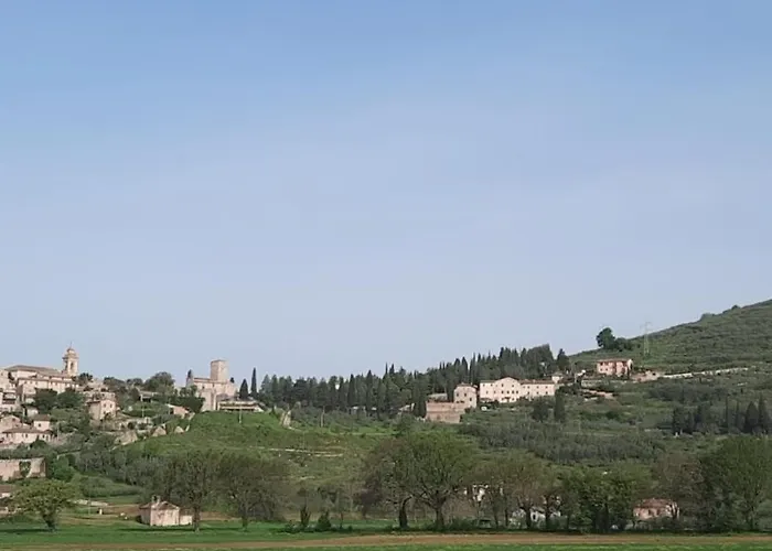 La Casa Tra Gli Ulivi