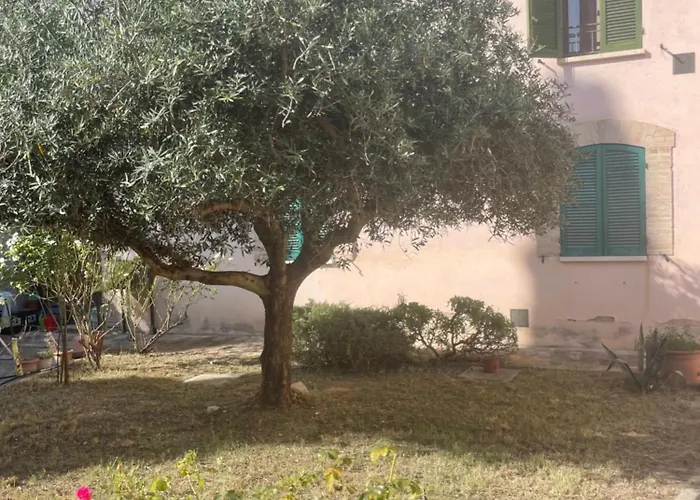 아파트 La Casa Tra Gli Ulivi